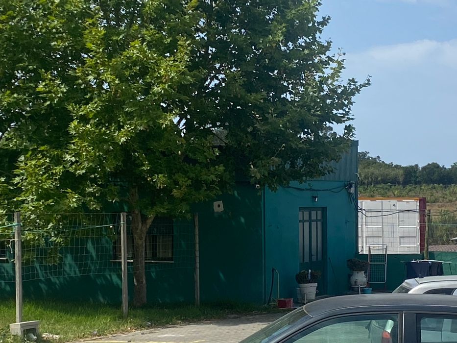 T3 para arrendamento, entrada imediata