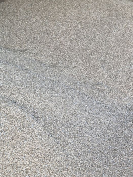 Ładna czysta pszenica