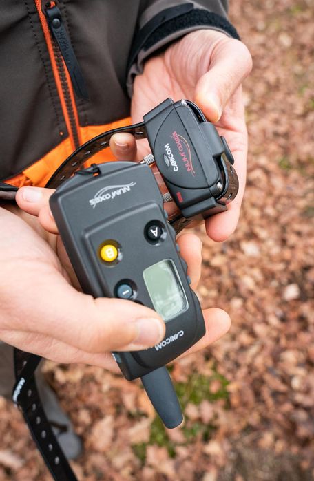 Coleira Telecomando de Adestramento para Cão Canicom 300 (Conjunto)