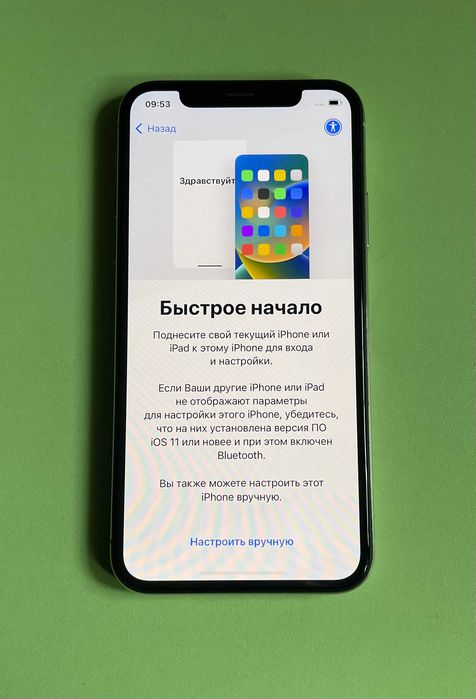 iPhone X 256 GB iCloud