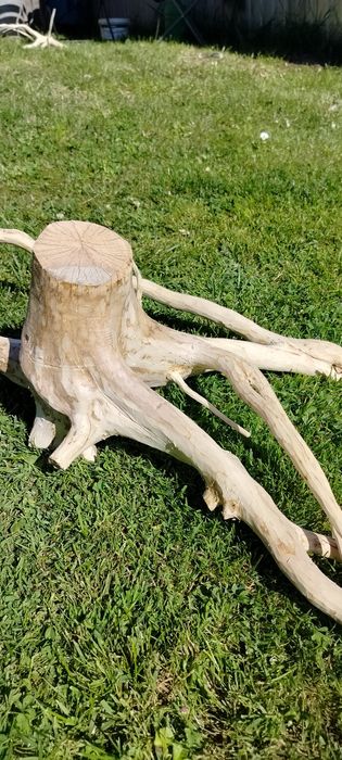 Sprzedam korzeń do akwarium , terrarium