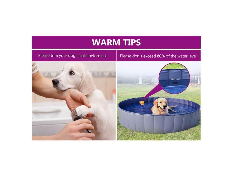 Piscina Pequenas para Cães