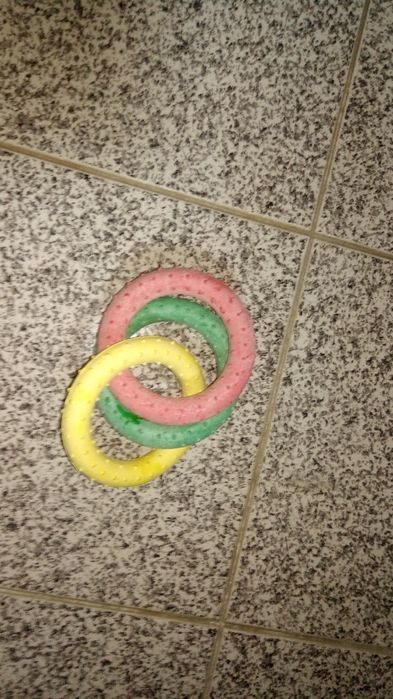 Acessórios cães novos