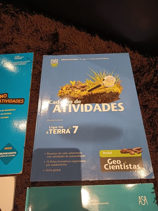 Livros de atividades de várias disciplinas para o 7 ano