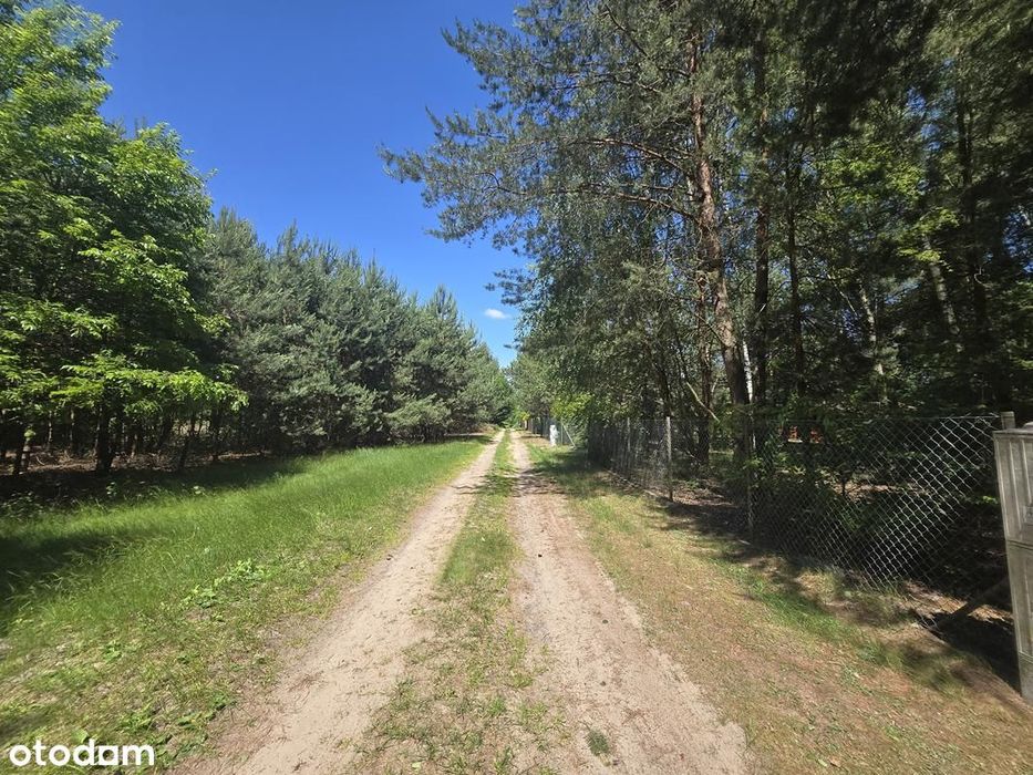 Idealna działka 1002m2 blisko jeziora