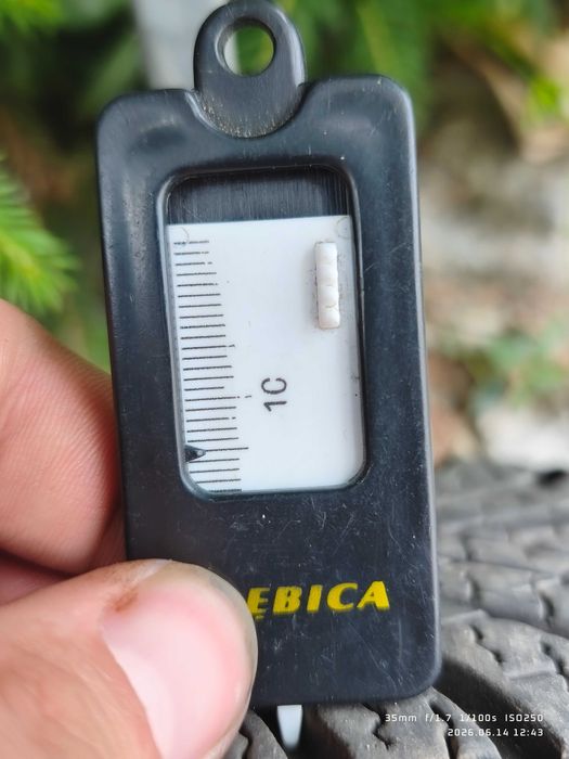 Dębica navigators 3 + alufelgi Renault