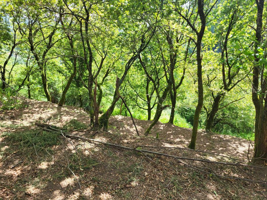Terreno no Gerês com Ruína e Mina 3 Artigos 8.100m²