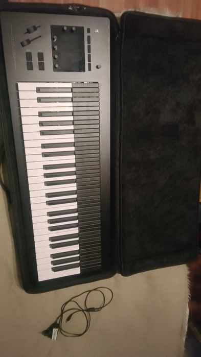 Syntezator Expressive E Osmose stan bdb + case, gwarancja do 04.2026