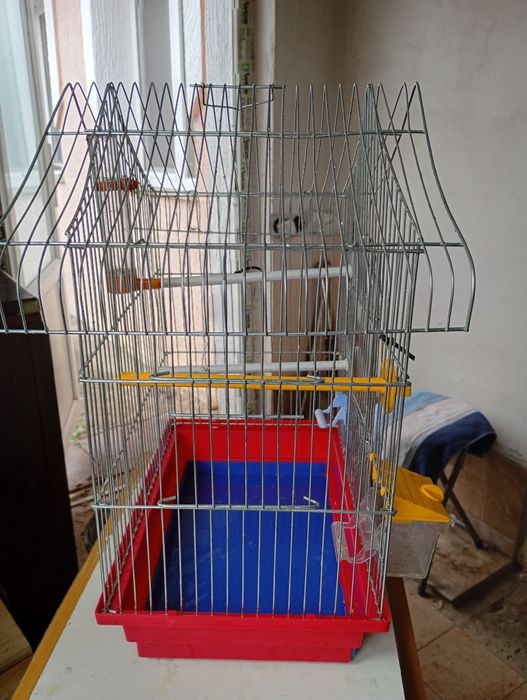 Клітка для папуги