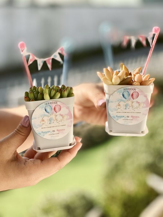 Lembranças suculentas