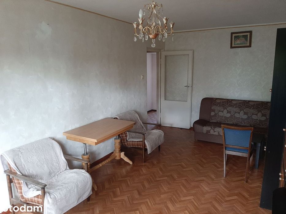 Sprzedam udział 1/2 w lokalu M3 Teofilów Rojna