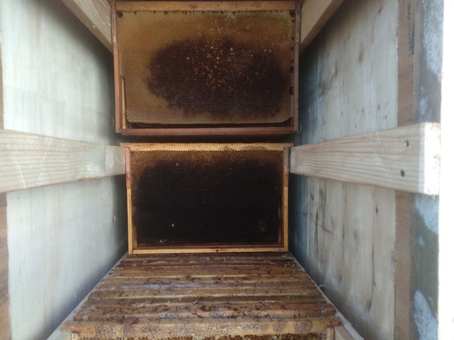 Продам бджолині рамки.