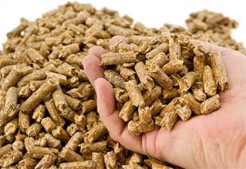 KOSTRZEWA Mini Bio NE 10 kW piec na pellet na dotacje DOSTAWA GRATIS