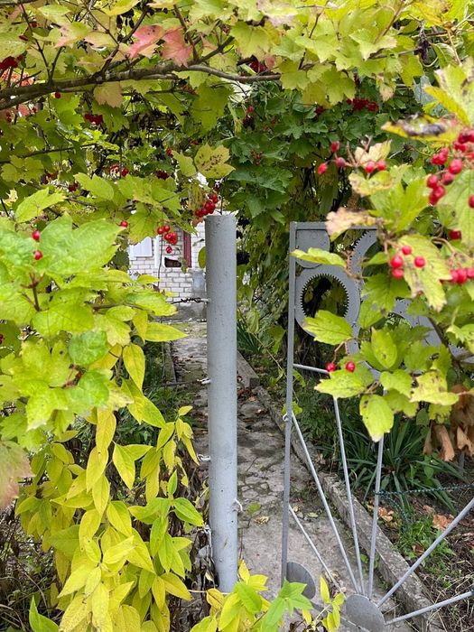 Дача з будиночком (на ветерані)