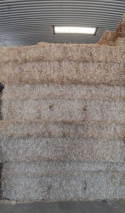 Fardos de Palha de trigo, cevada, feno e luzerna