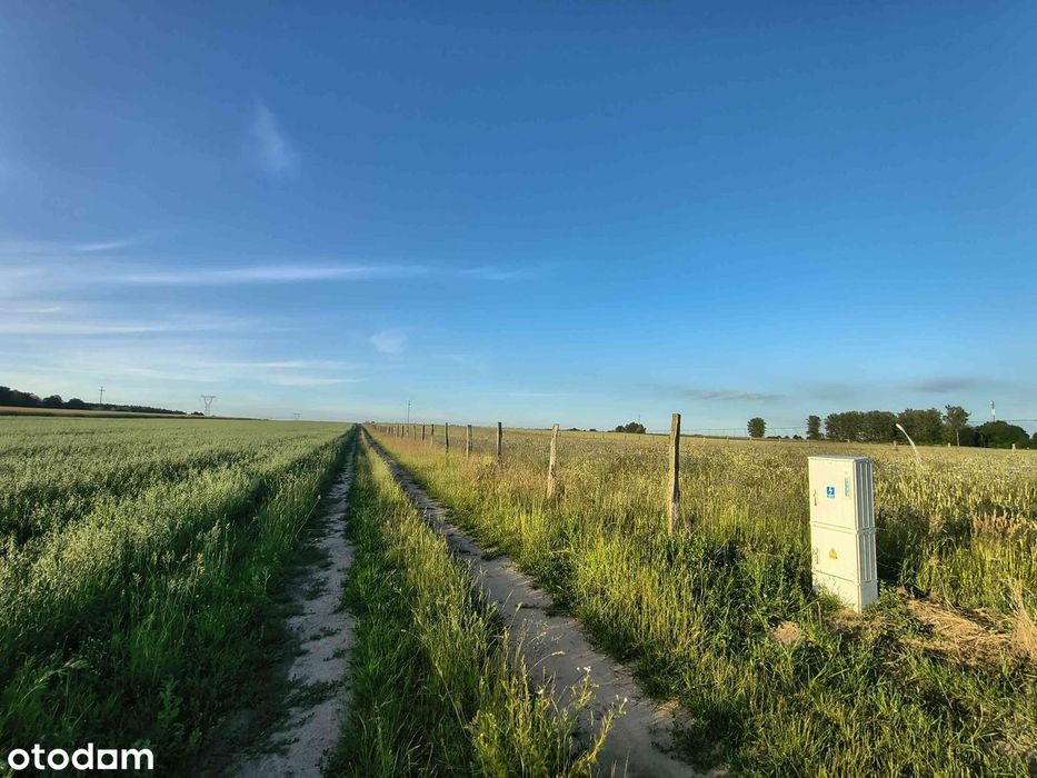 Działki Z Warunkami Zabudowy – 1700 M² ( 17 Arów) – Radowo Małe - View 4