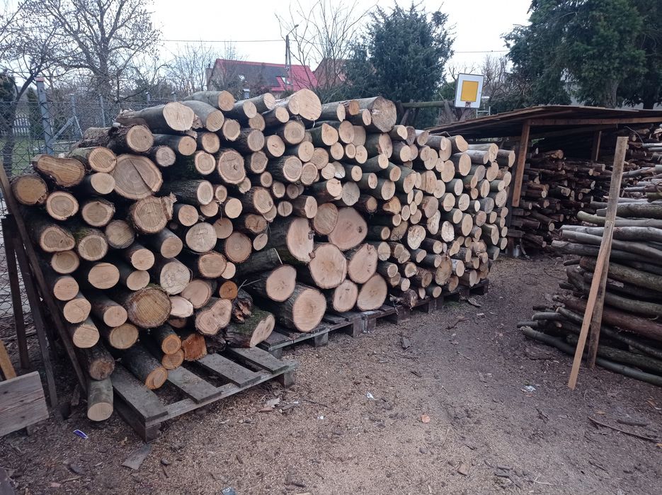 Drzewo drewno opałowe kominkowe dąb buk.