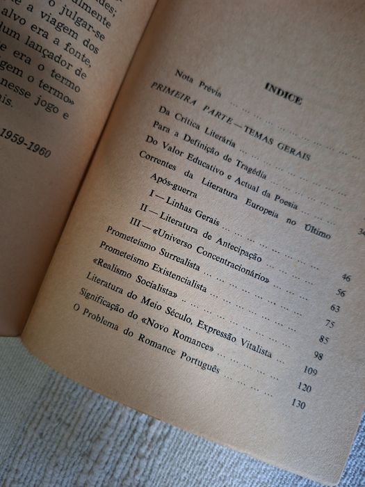 M. Antunes Ao Encontro da Palavra crítica literária