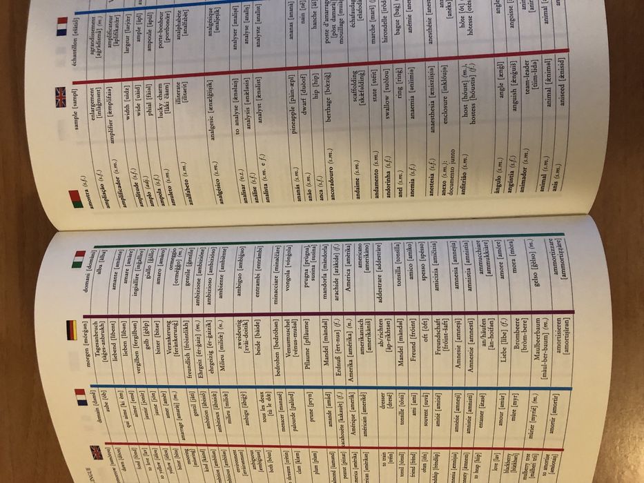 Dicionário multilingue(readers digest)