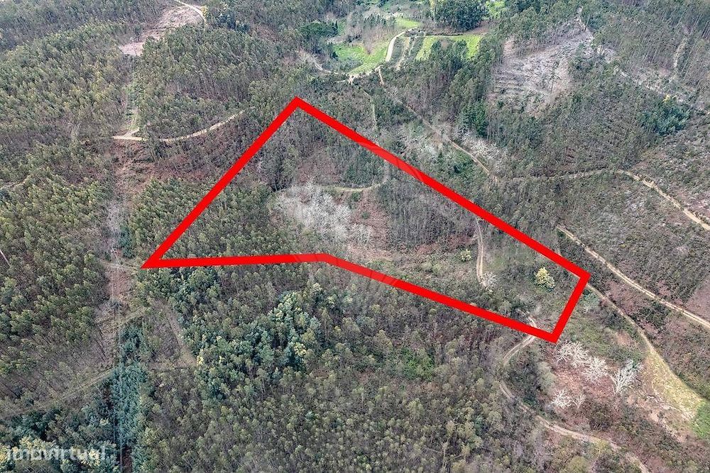 Terreno  para venda