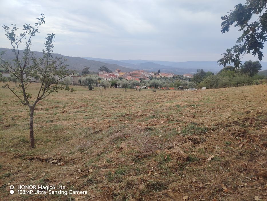 Terreno em Torres Trancoso