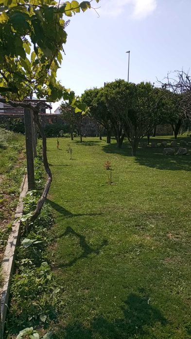 Rui Dias - Jardinagem e Limpeza de Terrenos