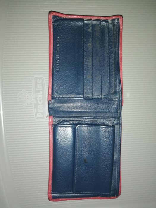 Carteira Lion of porches