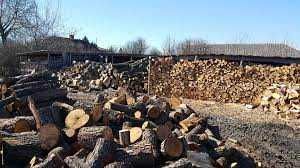 Дрова дубові грабові березові колоті метровки по області дрова