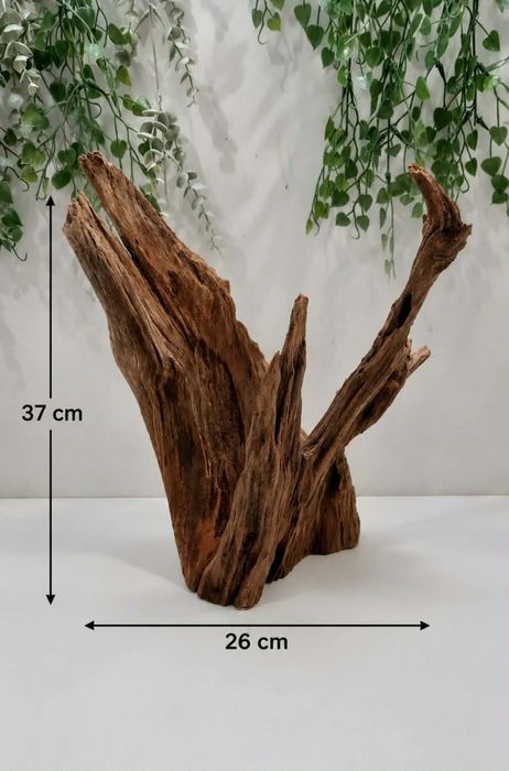 Korzeń do akwarium/terrarium