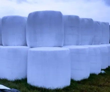 Kiszonka z kukurydzy w belach z 2025