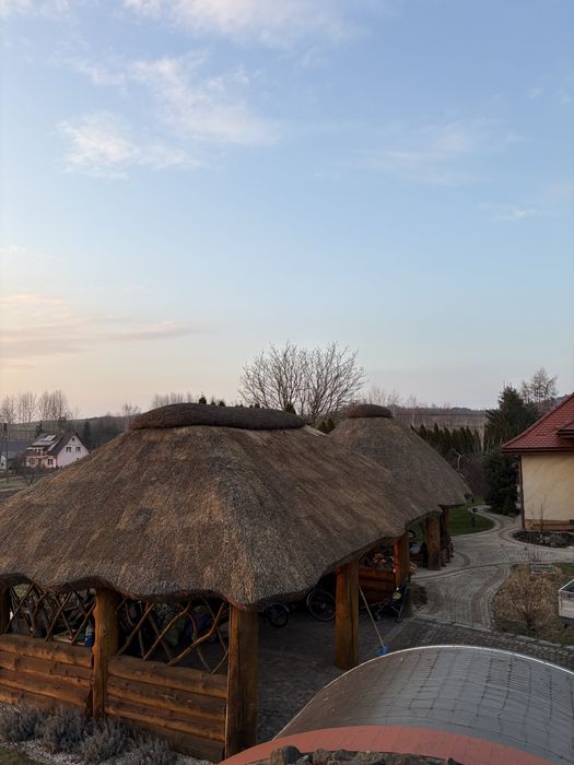 Naprawa Trzciny Strzeccha Renowcja