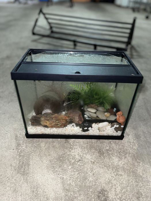 Aquário para peixe