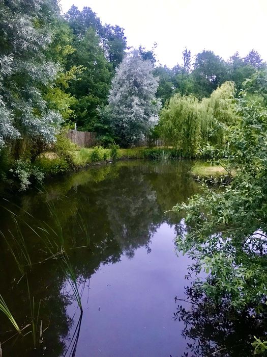 Дом посуточно, чан , баня , джакузи озеро, .лес, відпочинок