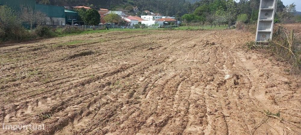 Terreno à venda em Lama, Barcelos - Oportunidade Única!