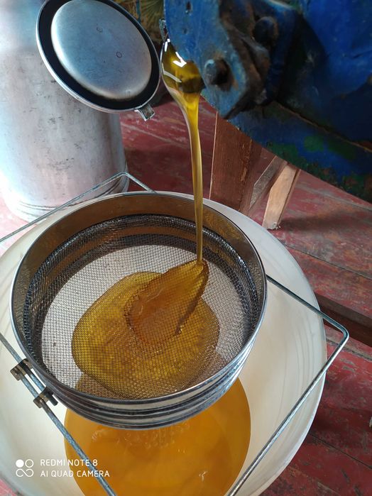 Мед квітковий 2023року