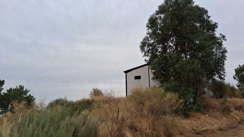Terreno em São Miguel De Acha