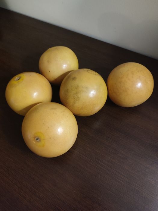 Frutos Secos para decoração Apple Monkey