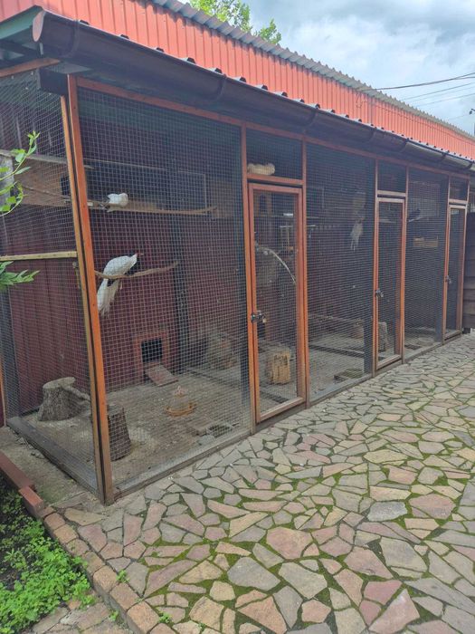 Заміський ресторан