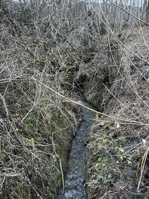 Продається маленький будинок у с. Сухий з двома ділянками