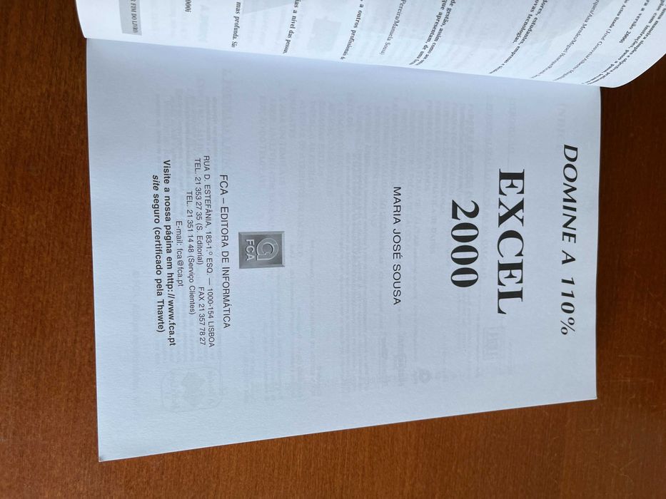 Domine a 110% Excel 2000 - FCA