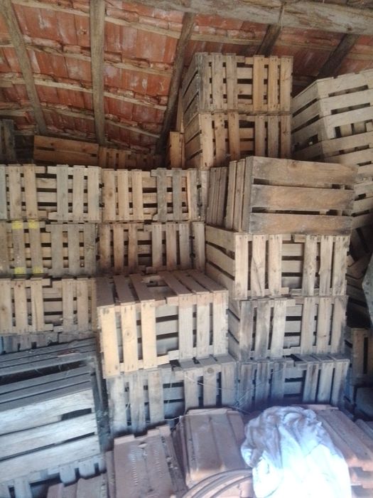 Caixas em madeira da fruta