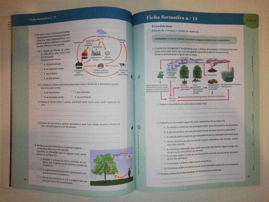 Manual Terra CN 8 - Ciências Naturais - 8.º Ano +  Caderno (novo)