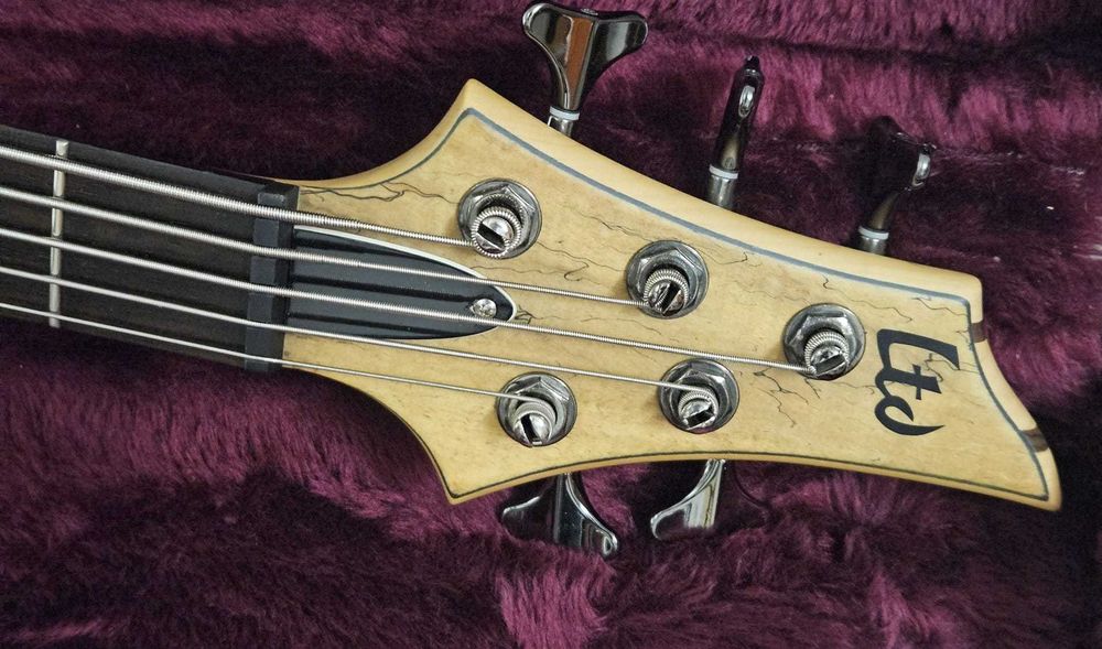 ESP LTD B-205 Spalted Maple Natural Satin