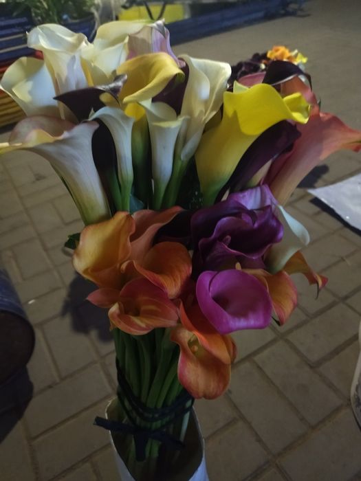 Продаж луковиць калли 30грн