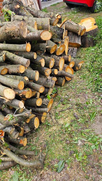 Drewno do wędzenia owocowe czereśnia opał