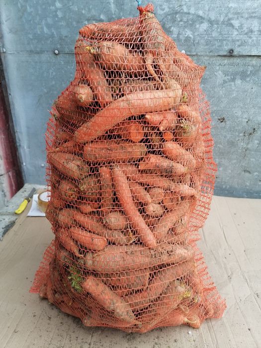 Marchew paszowa odpadowa 25kg wysyłka paczkomat inpost