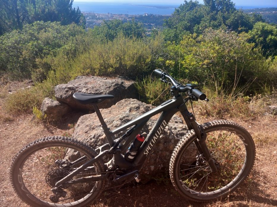Specialized turbo levo