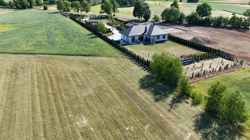 Dom parterowy 170 m² na wyjątkowej działce 5000 m² oraz Ziemia z Lasem Ponad 1 ha - Widok 4