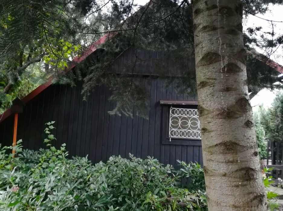 Sprzedam dzialke ROD Bielsko-Biała