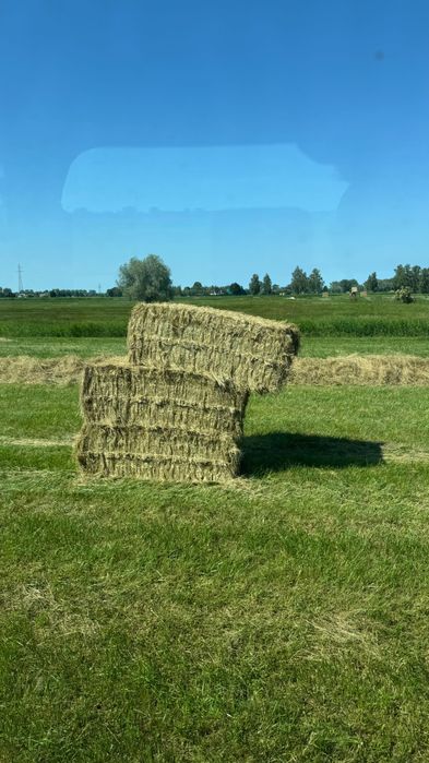 Siano dla koni z dostawą - Pomorskie